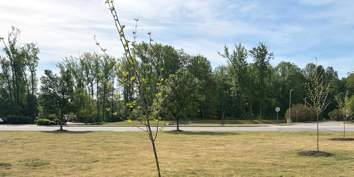 Volunteers planting native trees along walking path in Henrico County, Virginia community park