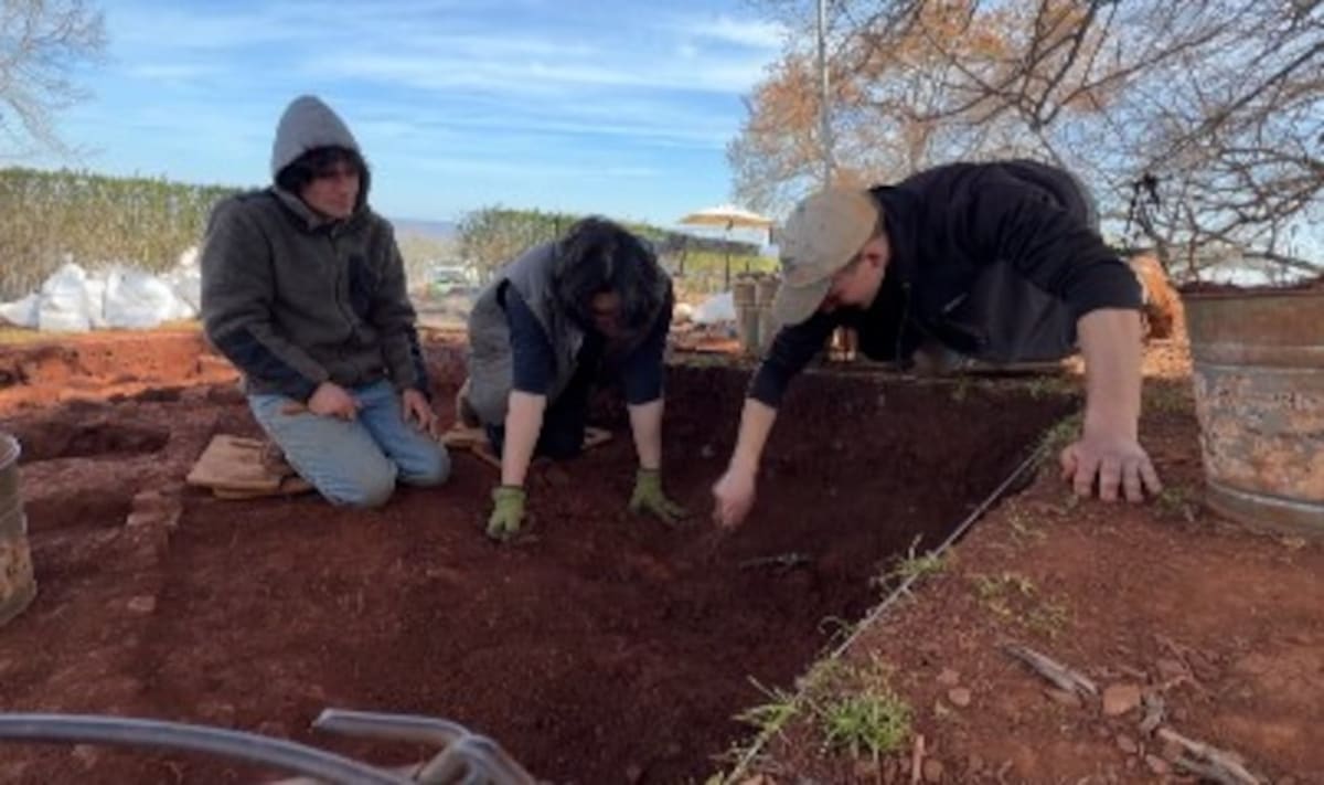 1700s Brick Kiln Discovered at Jefferson's Monticello - Image 4
