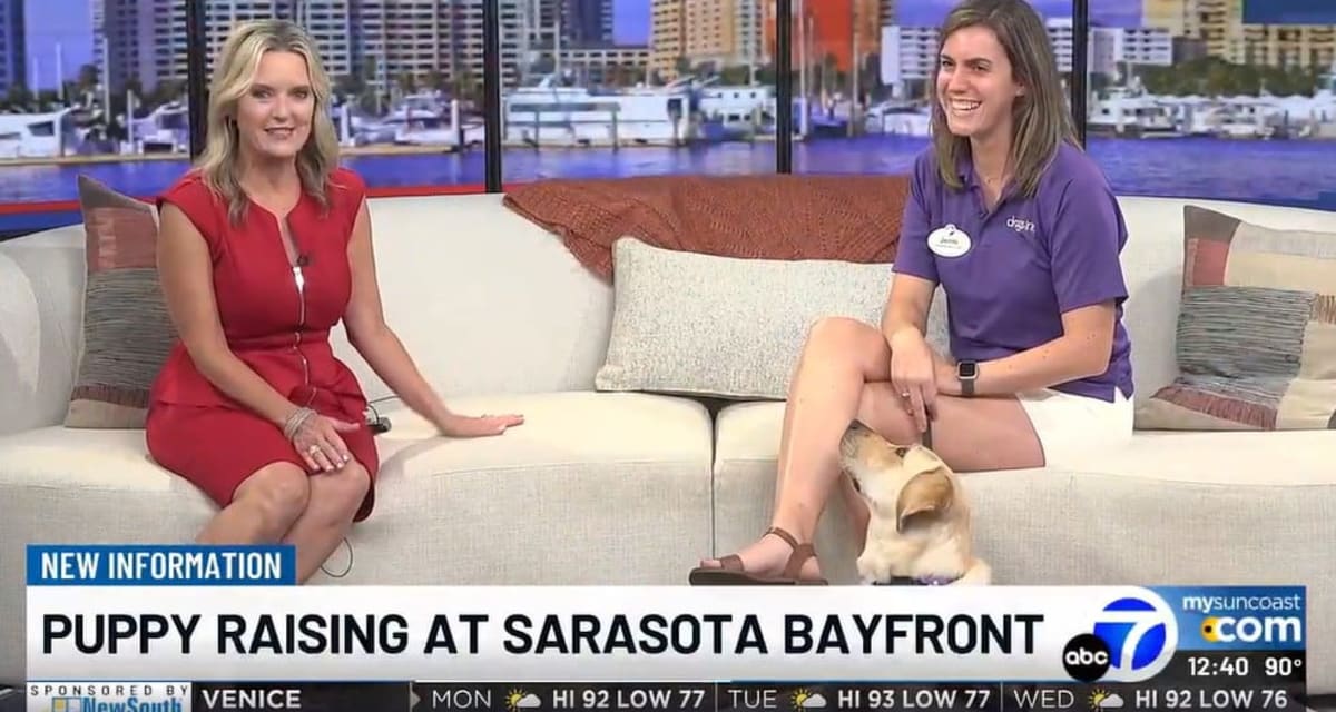 Florida Nonprofit Needs Puppy Raisers for Service Dogs - Image 2