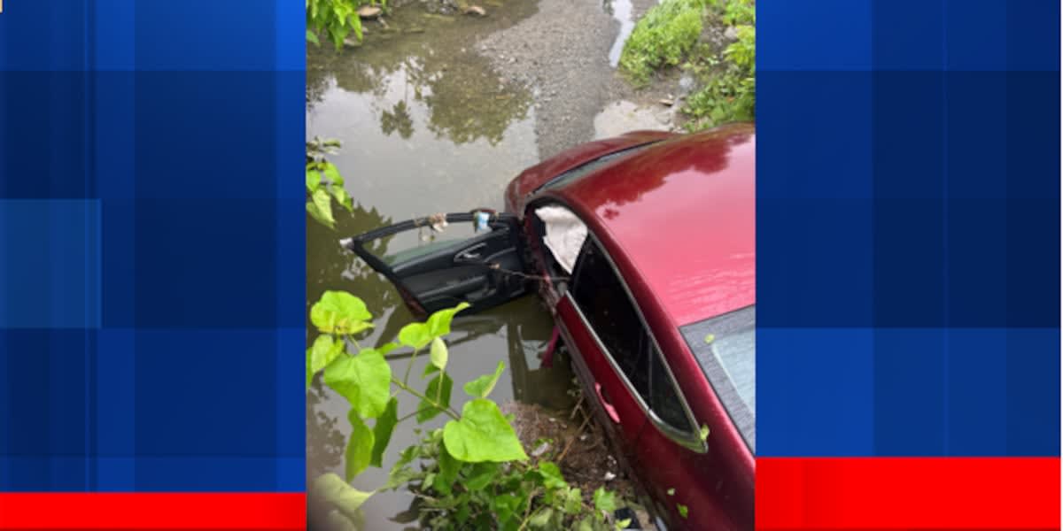 Cincinnati Woman Searches for Mystery Hero Who Saved Her Life