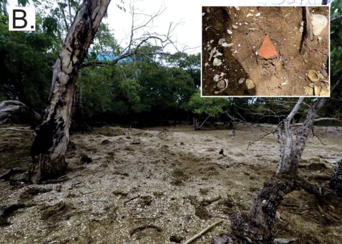Aerial view of small shell-composed island surrounded by mangrove forest in Fiji coastal waters