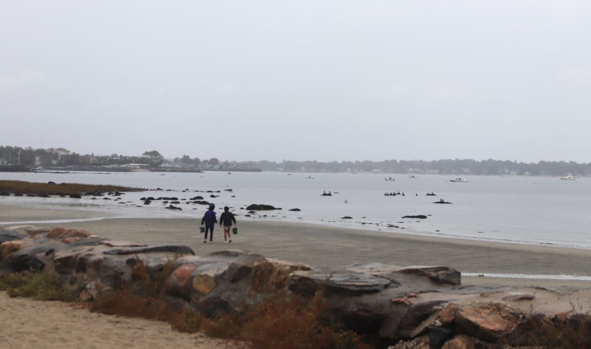 Greenwich Coastal Cleanup Unites Community for Ocean Health - Image 2