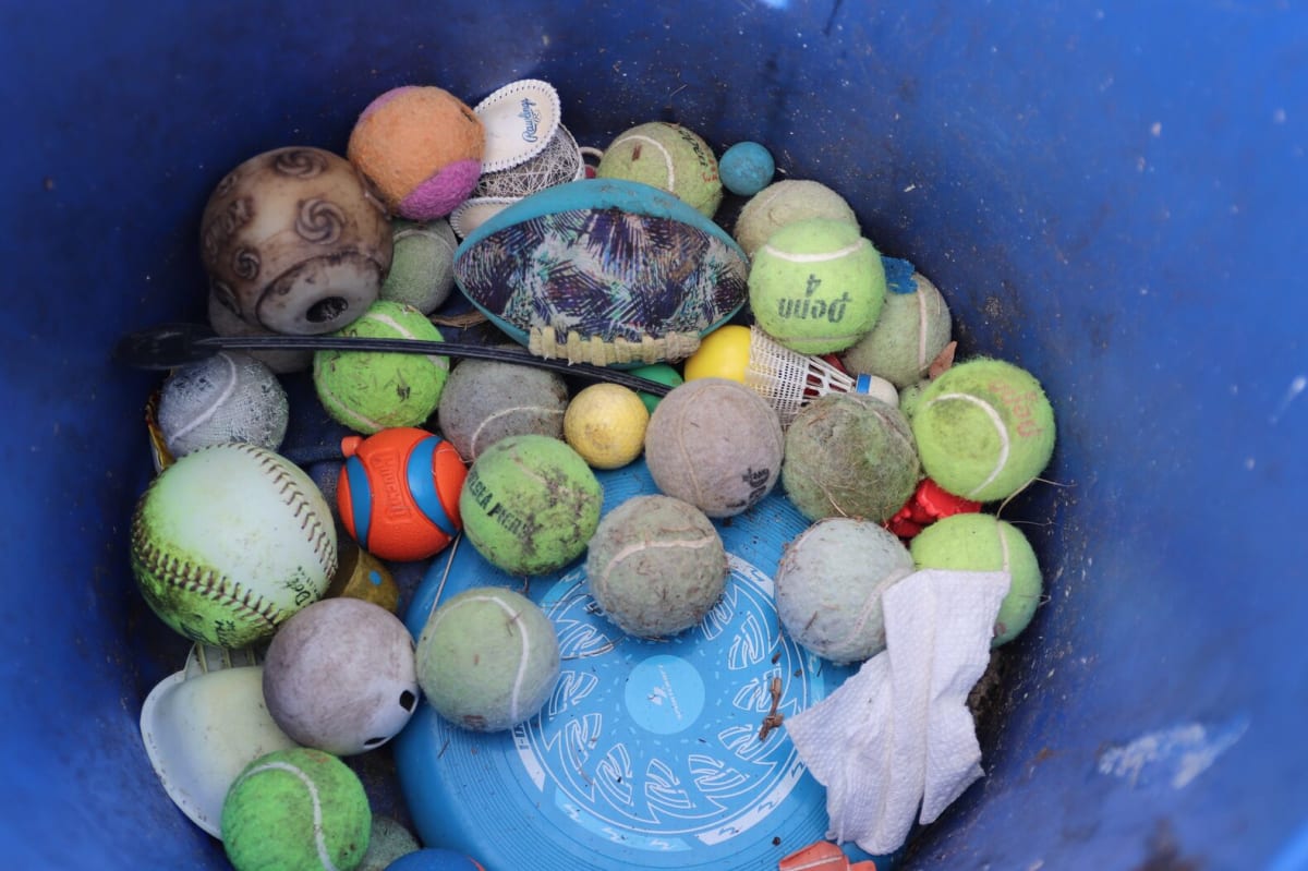 Greenwich Coastal Cleanup Unites Community for Ocean Health - Image 3