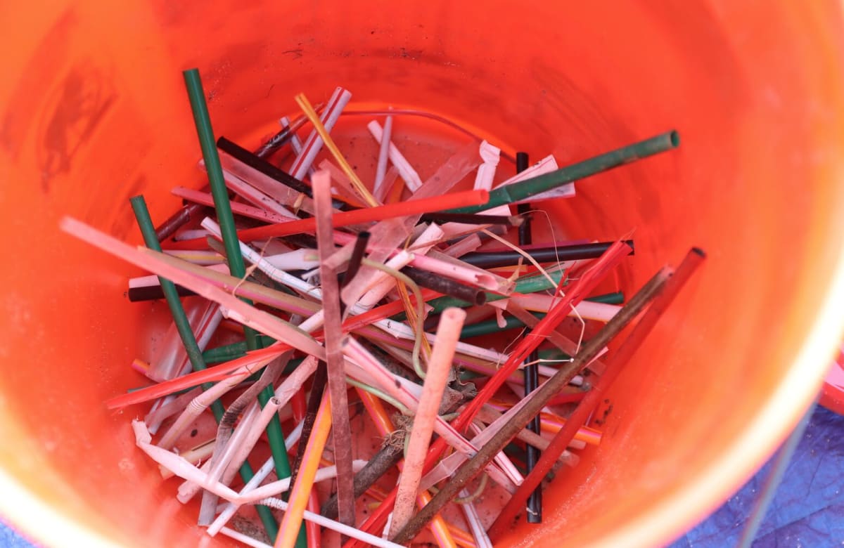 Greenwich Coastal Cleanup Unites Community for Ocean Health - Image 4