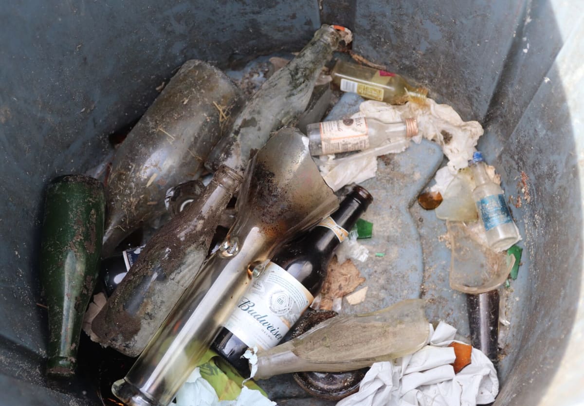 Greenwich Coastal Cleanup Unites Community for Ocean Health - Image 5