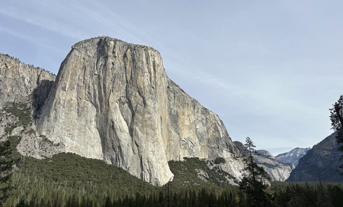 Volunteers in safety vests collecting trash bags during Yosemite Facelift cleanup event in valley