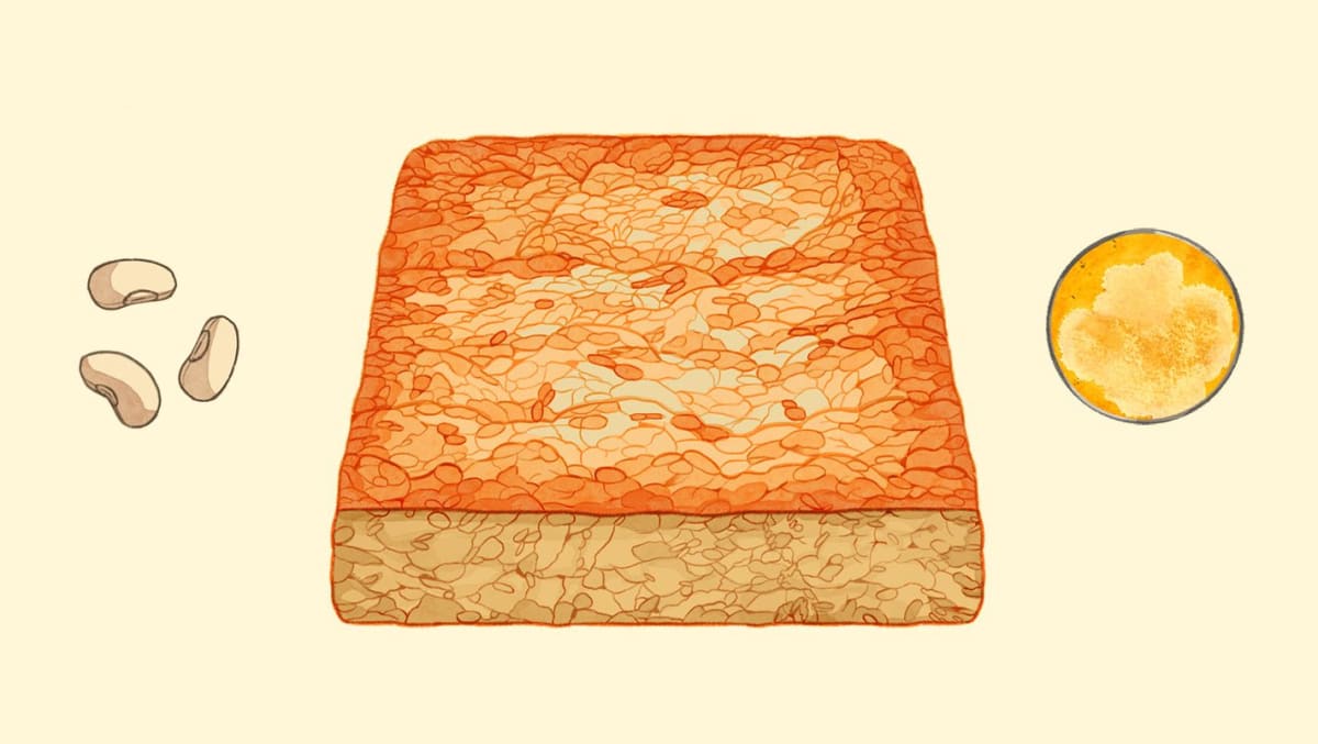 Scientists Push to Protect Earth's Forgotten Life Savers - Image 5