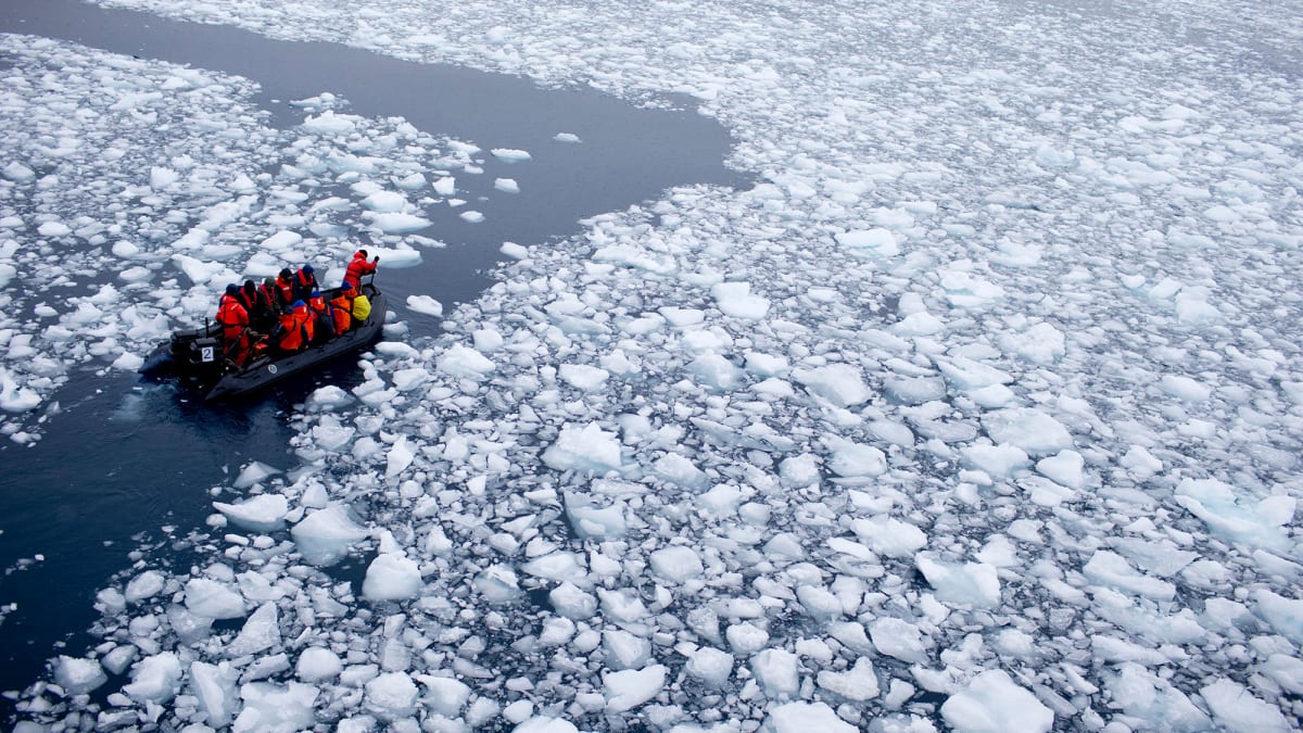 Robot Floats Solve Antarctica's Sea Ice Mystery - Image 2