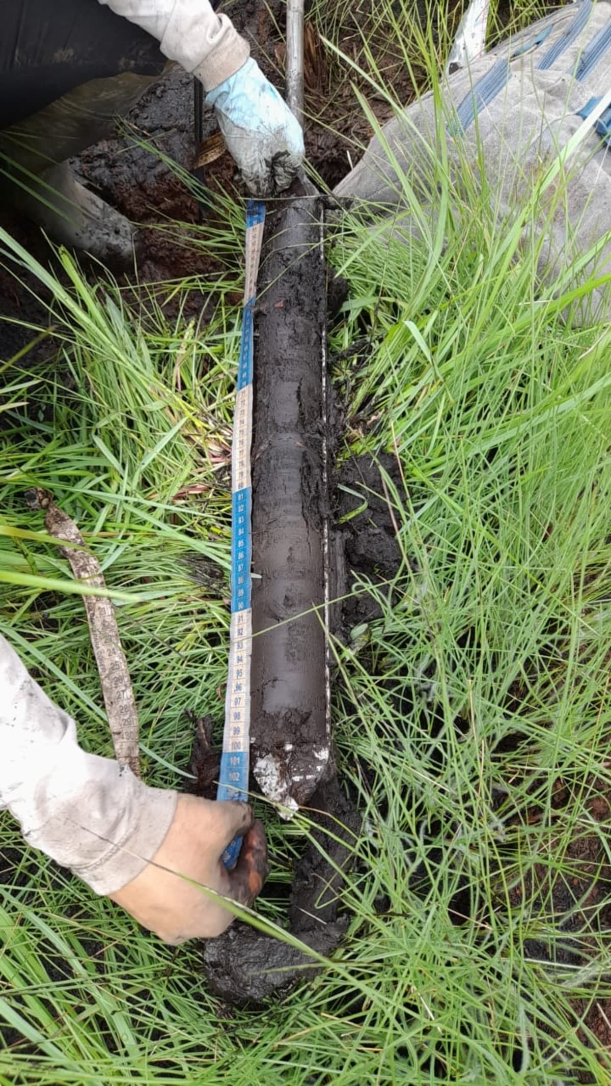 Brazil's Hidden Savanna Stores 6x More Carbon Than Amazon - Image 3