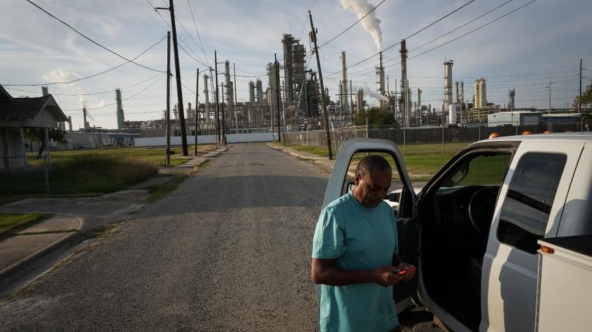 Tiny Pocket Gardens Cut Urban Heat, Flood Risk, and Noise - Image 4