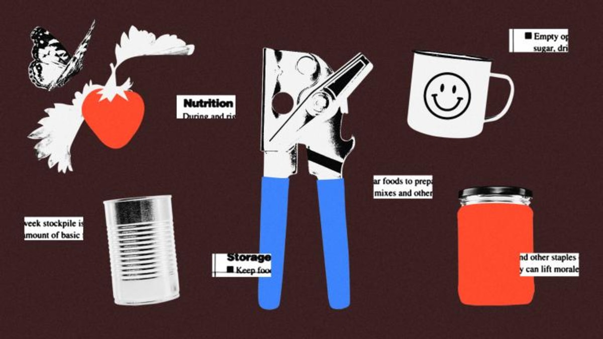 Tiny Moss Cousin Could Boost Crop Yields by 60% - Image 5