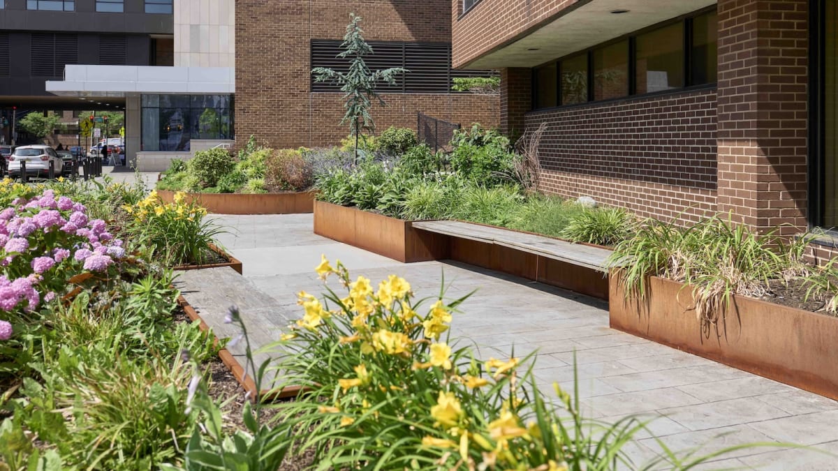 Small urban pocket garden with native plants and seating area beside modern building