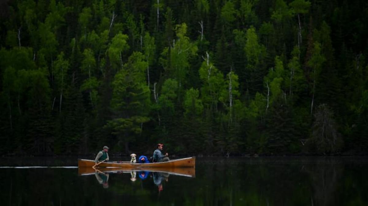 Climate Activists Share Stories at SF Event April 23 - Image 4