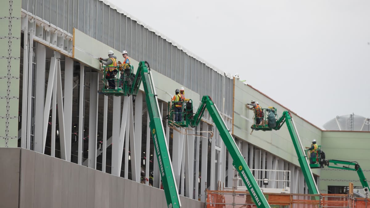Georgia Turns Wood Waste Into Medicine Like Tylenol - Image 2