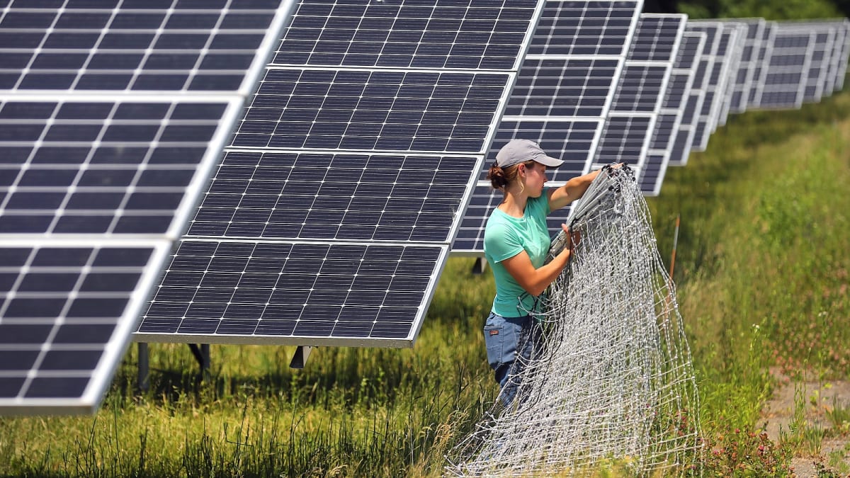 Solar Power Booms Despite Political Headwinds in 2025