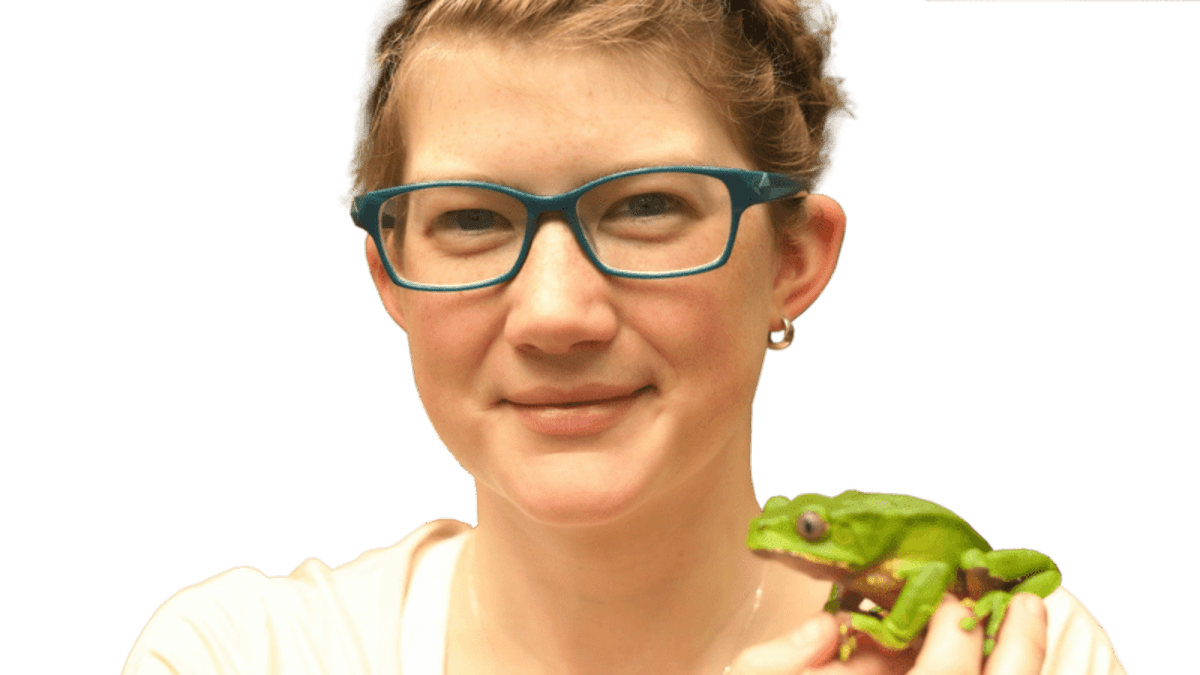 Climate Leaders Find Hope Despite Political Headwinds - Image 4