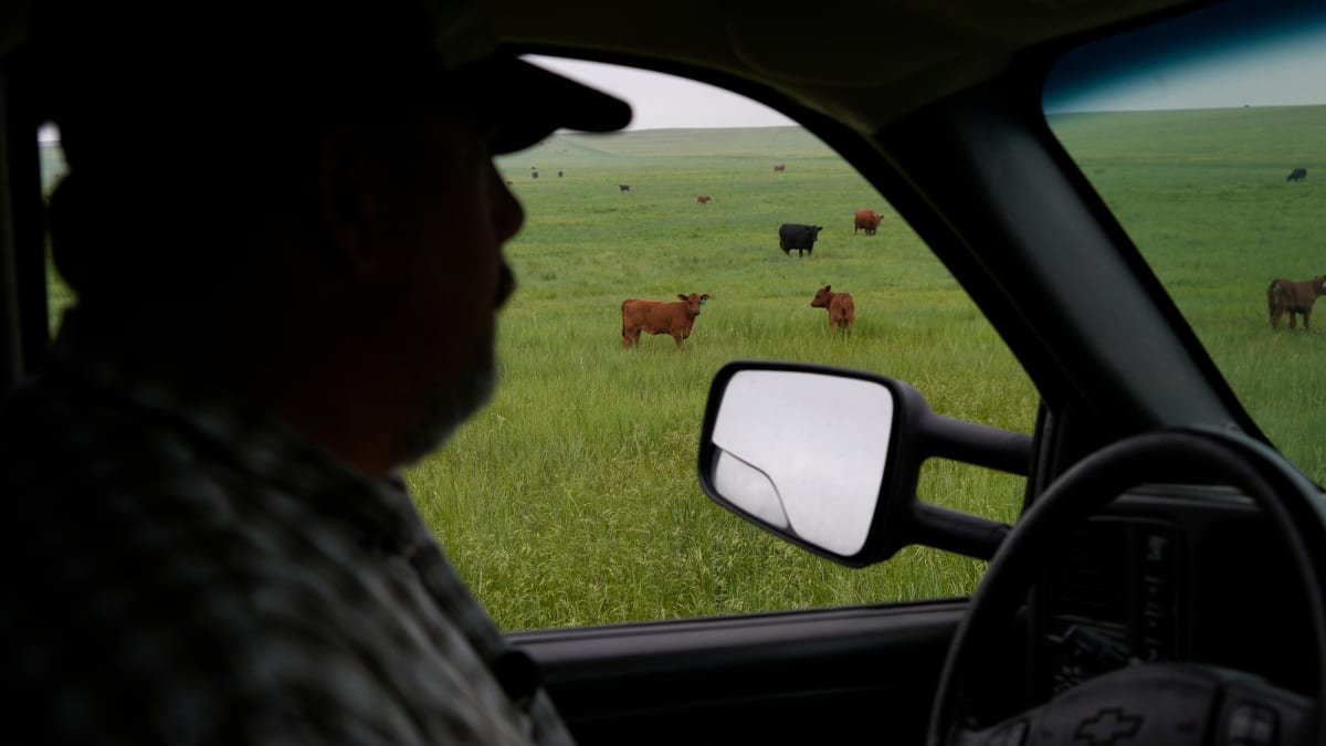 Nebraska Ranchers Use Fire to Fight Fire—And It's Working - Image 4