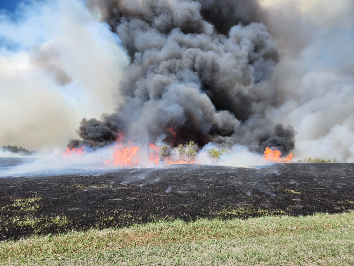 Nebraska Ranchers Use Fire to Fight Fire—And It's Working - Image 5