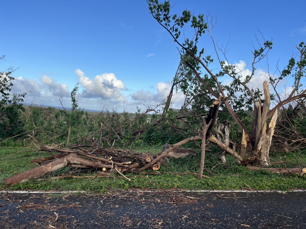 Pacific Islands Unite in Recovery After Historic Typhoon - Image 4