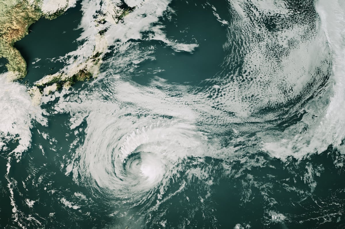 Pacific Islands Unite in Recovery After Historic Typhoon - Image 3