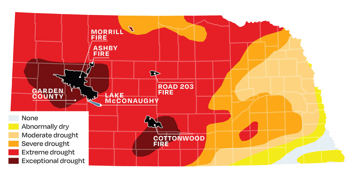 Nebraska Ranchers Use Fire to Fight Fire—And It's Working - Image 3