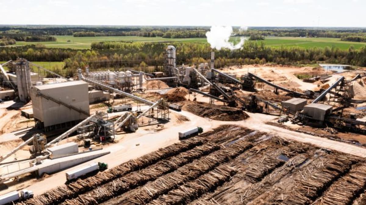 Indigenous Land Practices Cut Carbon, New Study Shows - Image 5