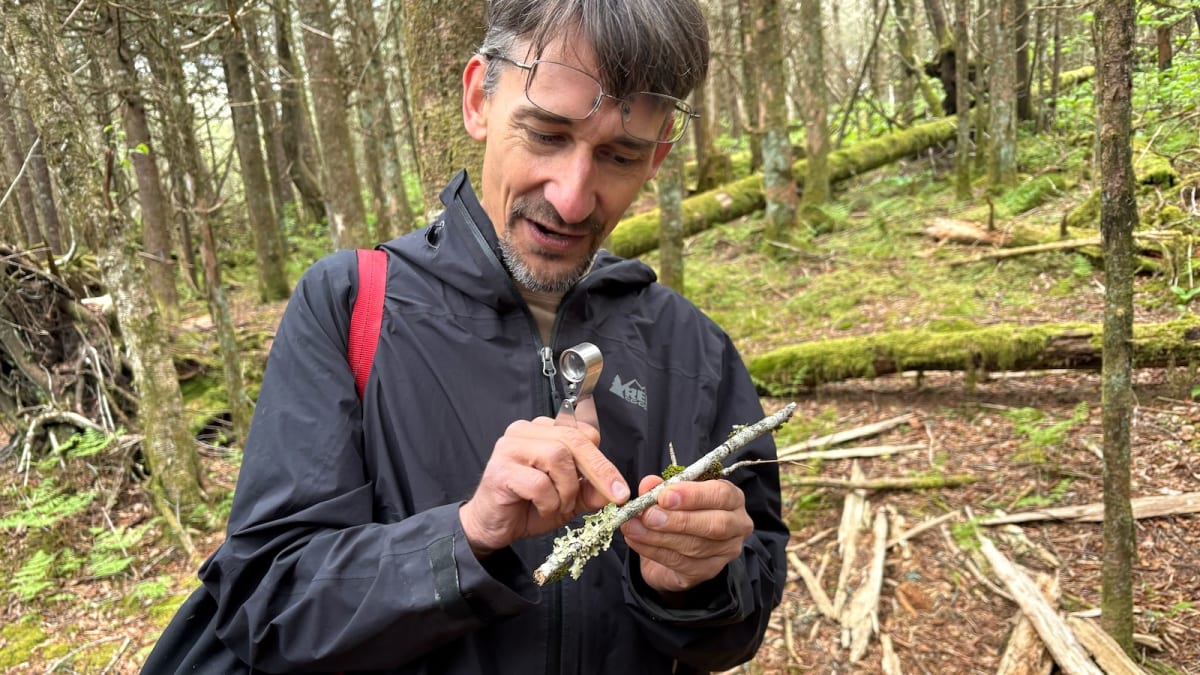 Volunteers Find 22,000 Species in Great Smoky Mountains