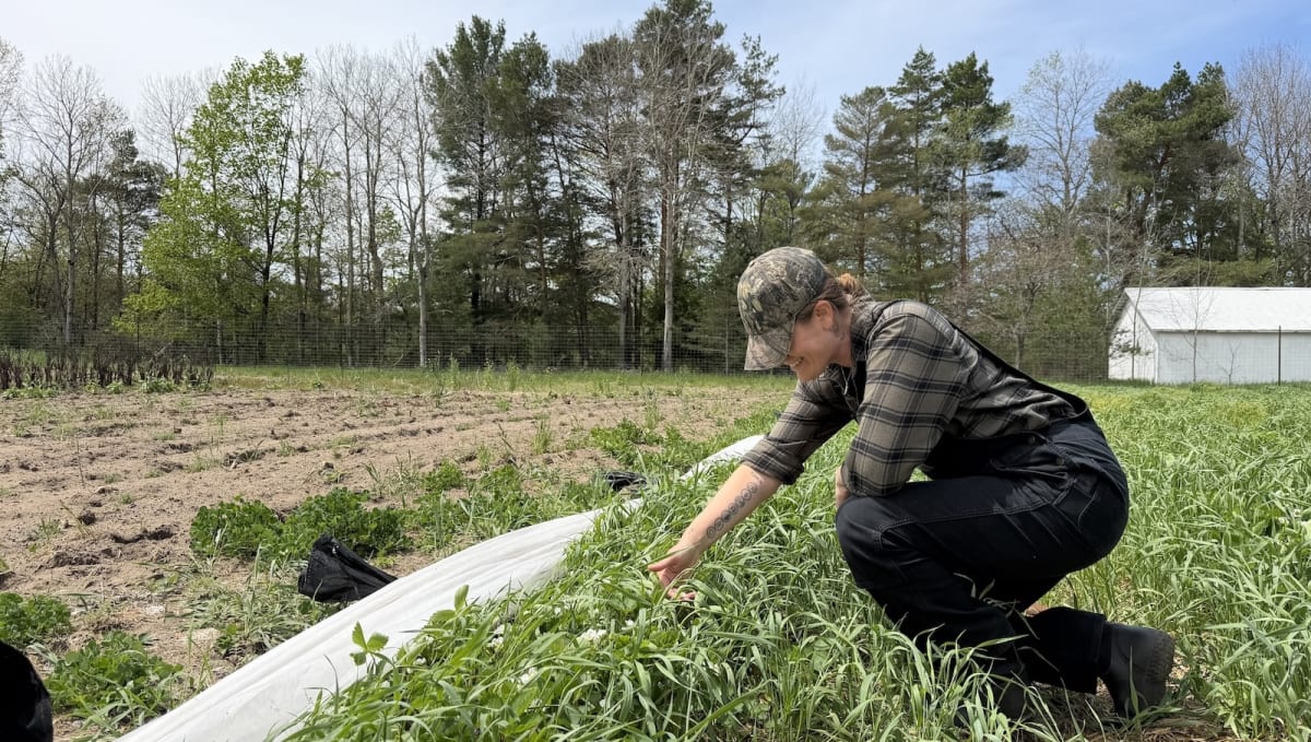 Michigan Farm Program Trains Next Generation of Growers