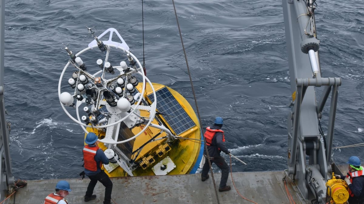 Ocean research sensors being deployed into water to monitor climate and weather patterns