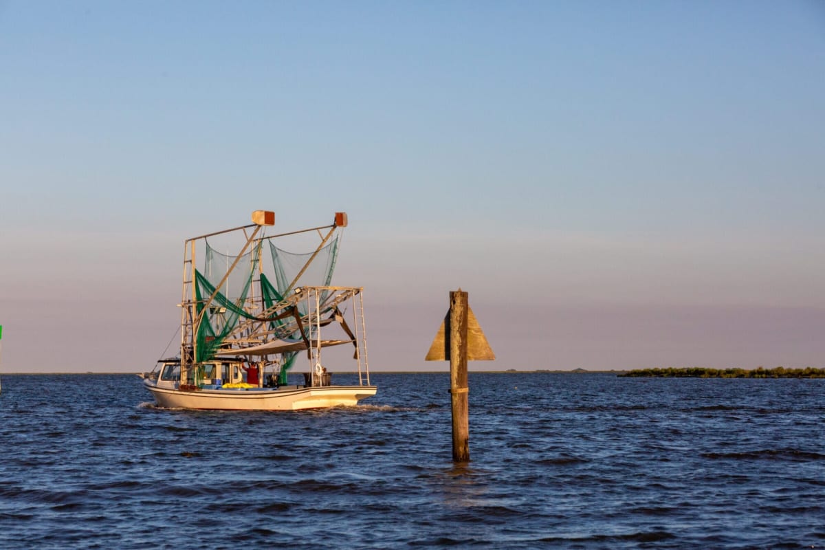 Louisiana Launches $101M Project to Save Vital Marshland - Image 4