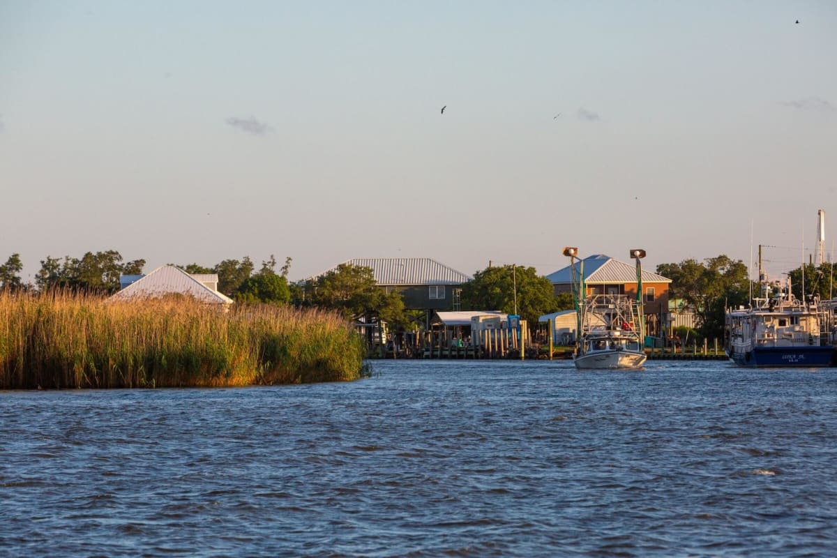 Louisiana Launches $101M Project to Save Vital Marshland - Image 2