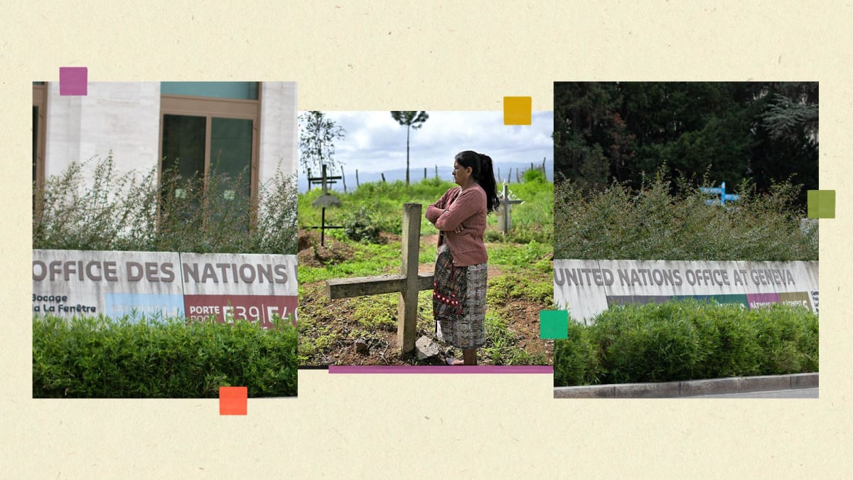 Indigenous Nations Push for Equal Voice at UN Climate Talks - Image 2