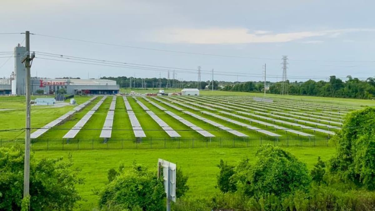 Georgia Marshes Get Room to Migrate as Seas Rise - Image 4