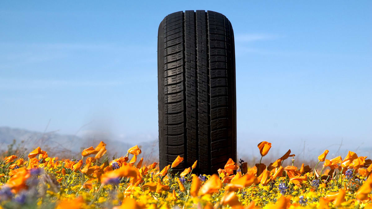Close-up of new efficient car tire with California Energy Commission leaf rating label