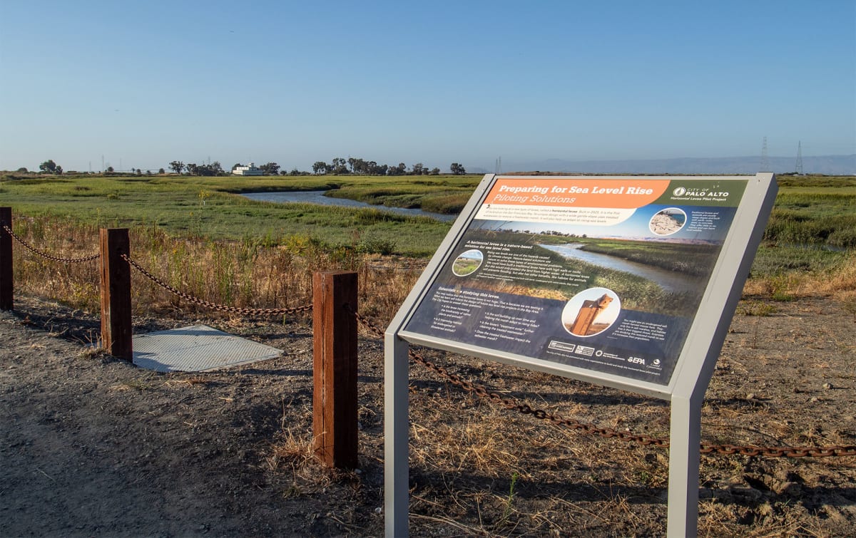 California's Plant-Covered Levees Fight Floods and Save Wildlife - Image 2