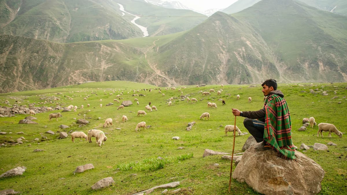 Pastoralists Share Ancient Climate Wisdom at UN Summit