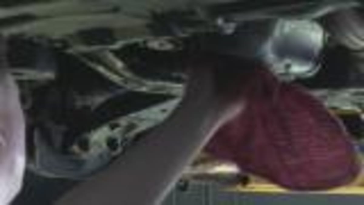 Suamico Firefighters Save Dog from Icy Bay Waters - Image 5