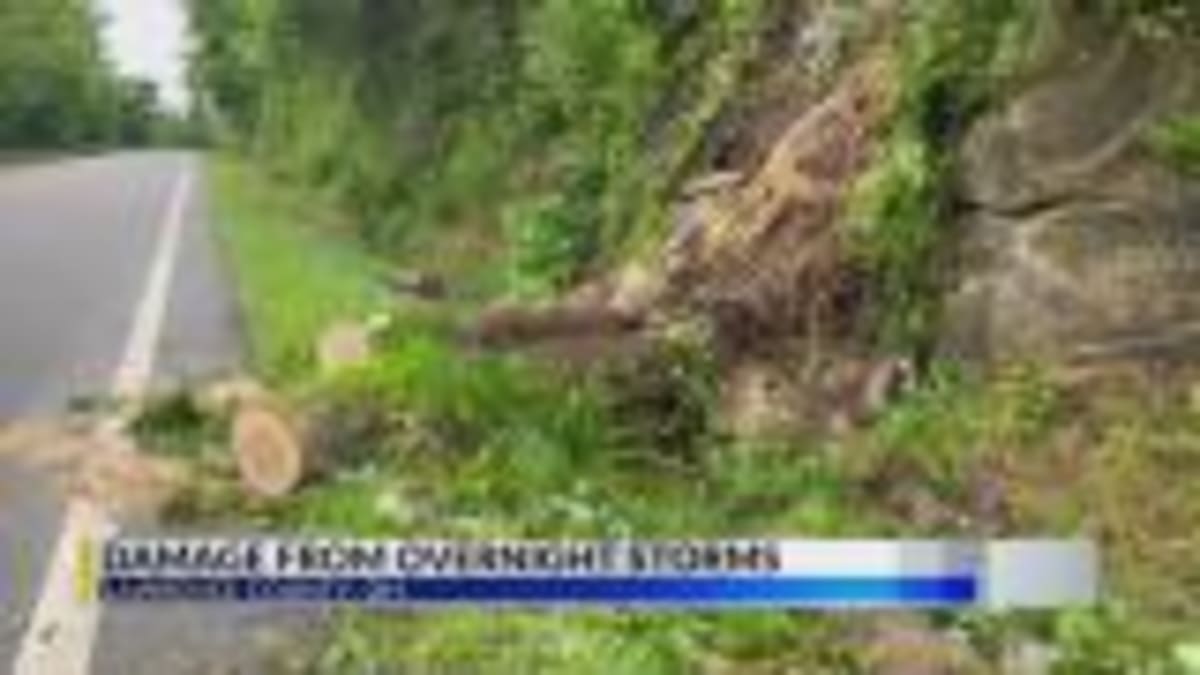 Bystander Loans Bike to Officer Chasing Suspect in Maryland - Image 5