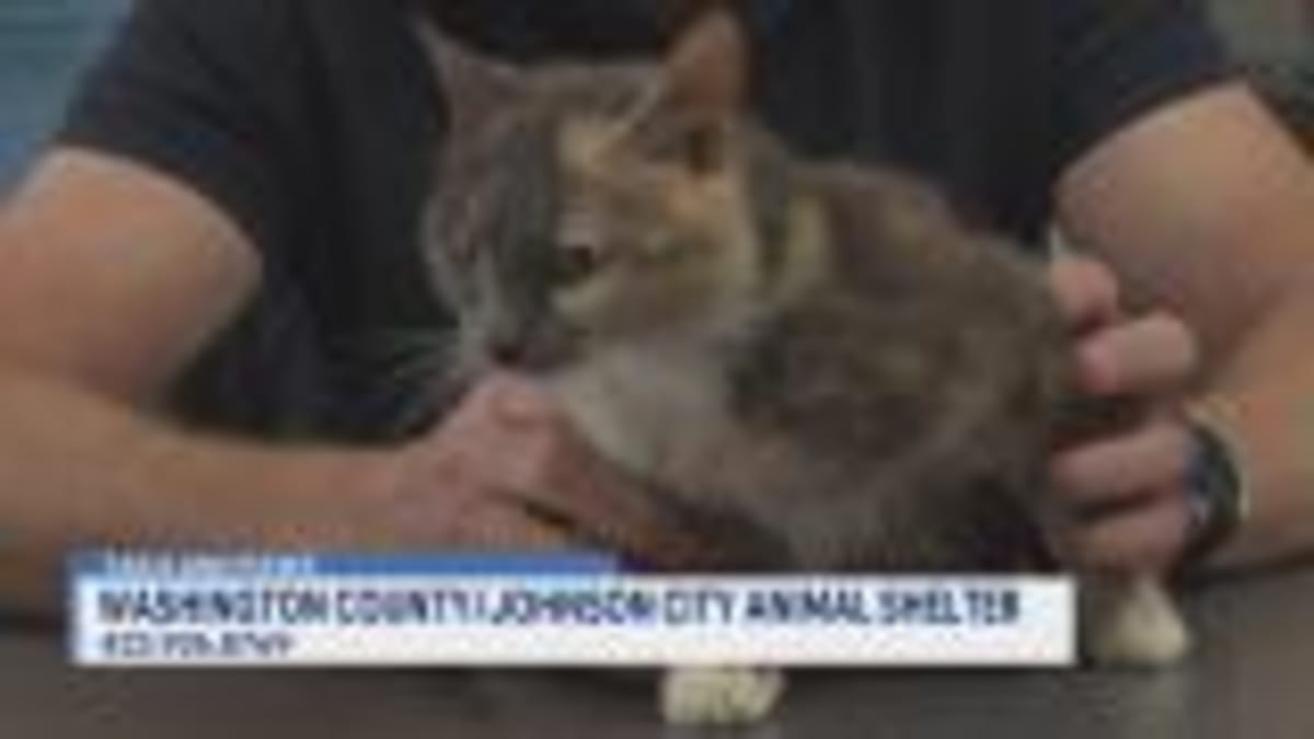 Morgan Wallen Foundation Gives $15K to Tennessee Schools - Image 3