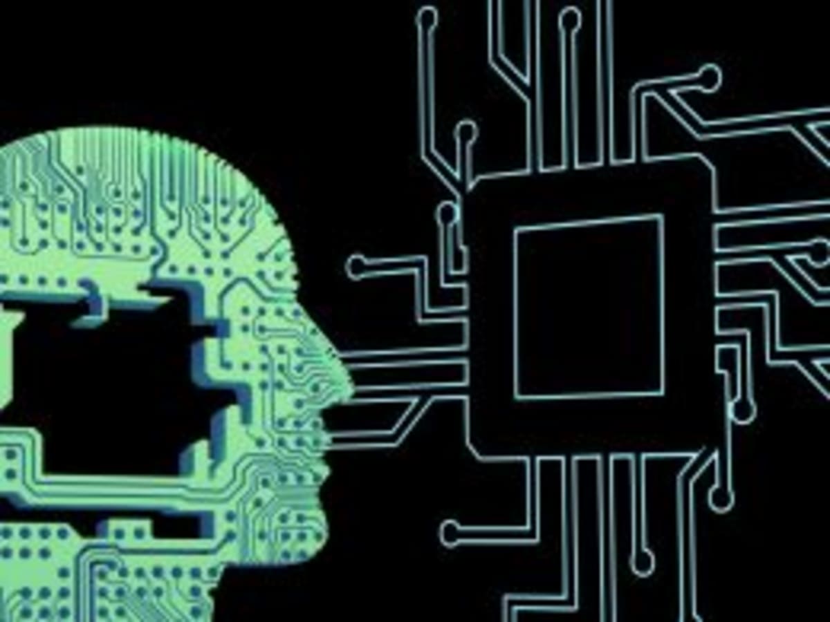 Wave Browser Funds 70K Pounds of Ocean Cleanup in 2025 - Image 4