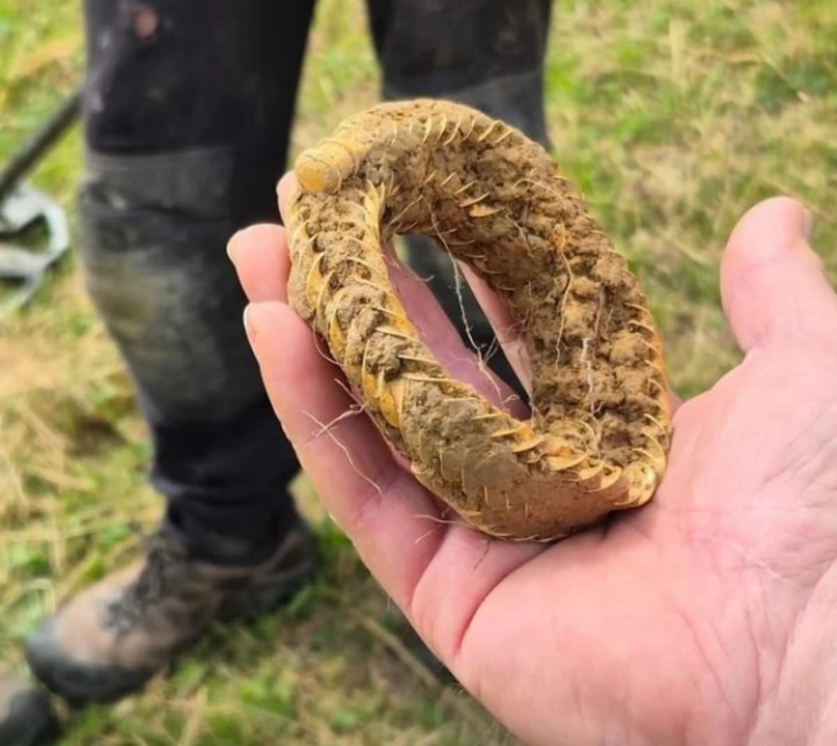 Ancient gold torc necklace from Bronze Age discovered in English field by metal detectorist