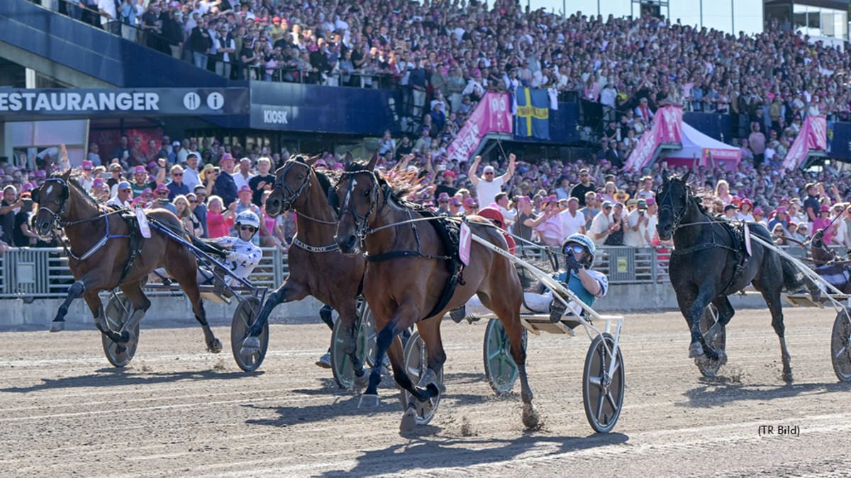 ** Brown harness racing mare Allegiant competing on Swedish racetrack with driver in sulky