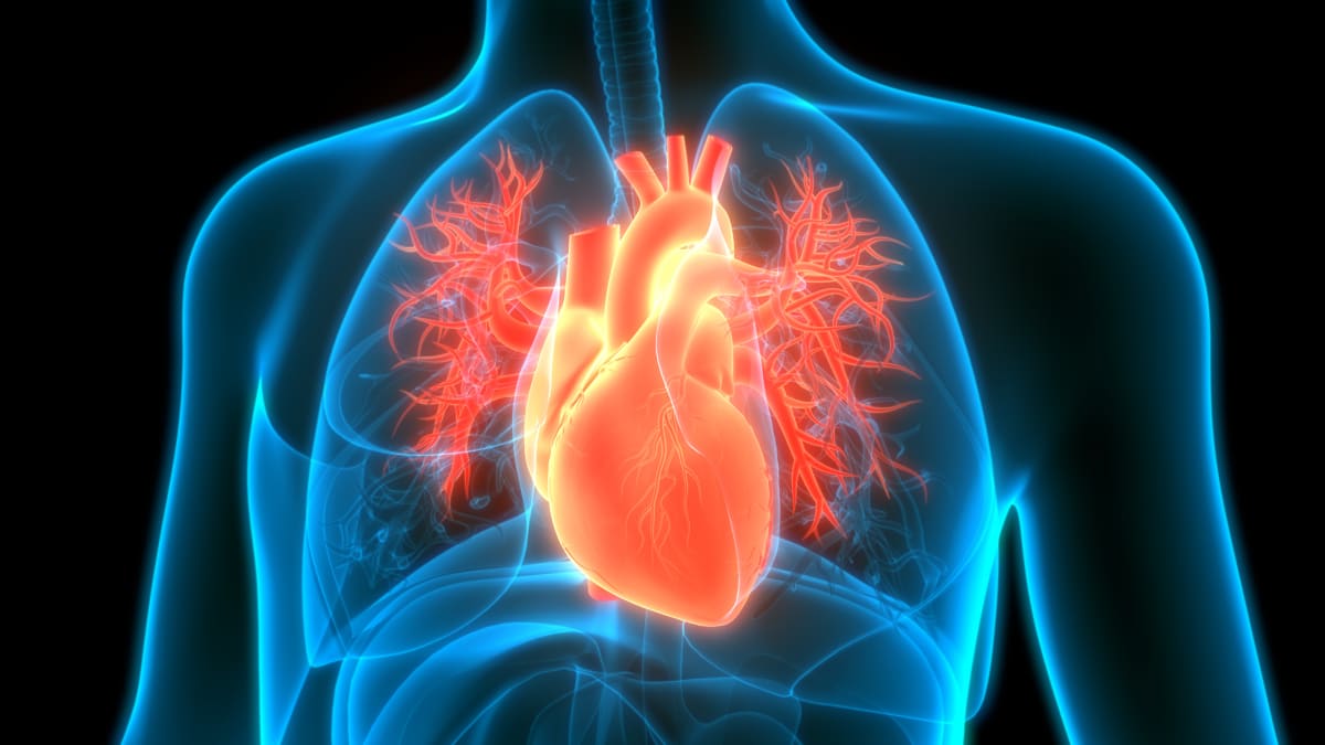 Researcher examining colorful microscopic images of individual heart cells on computer screens