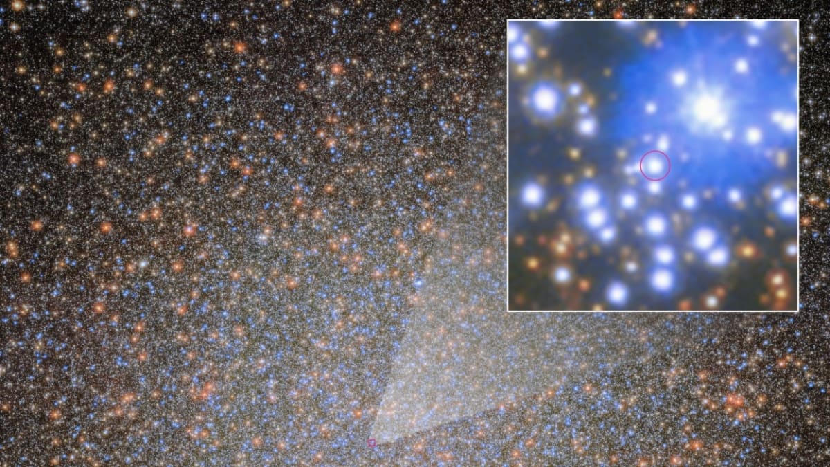Tiny Black Hole Found 18,000 Light-Years From Earth - Image 2