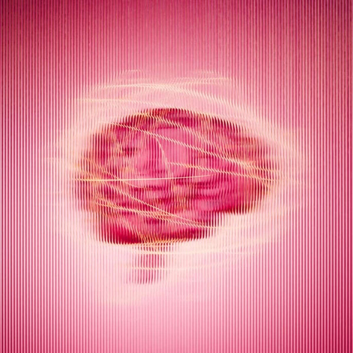 Scientists Link Menopause Estrogen Loss to Memory Changes - Image 3