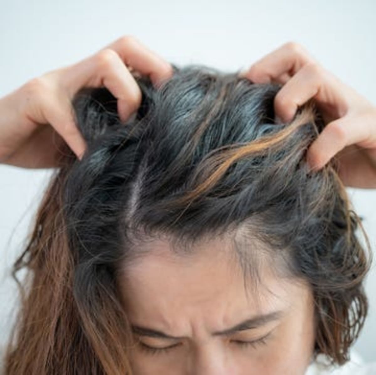 Brain Health May Not Depend on Avoiding Processed Foods - Image 5