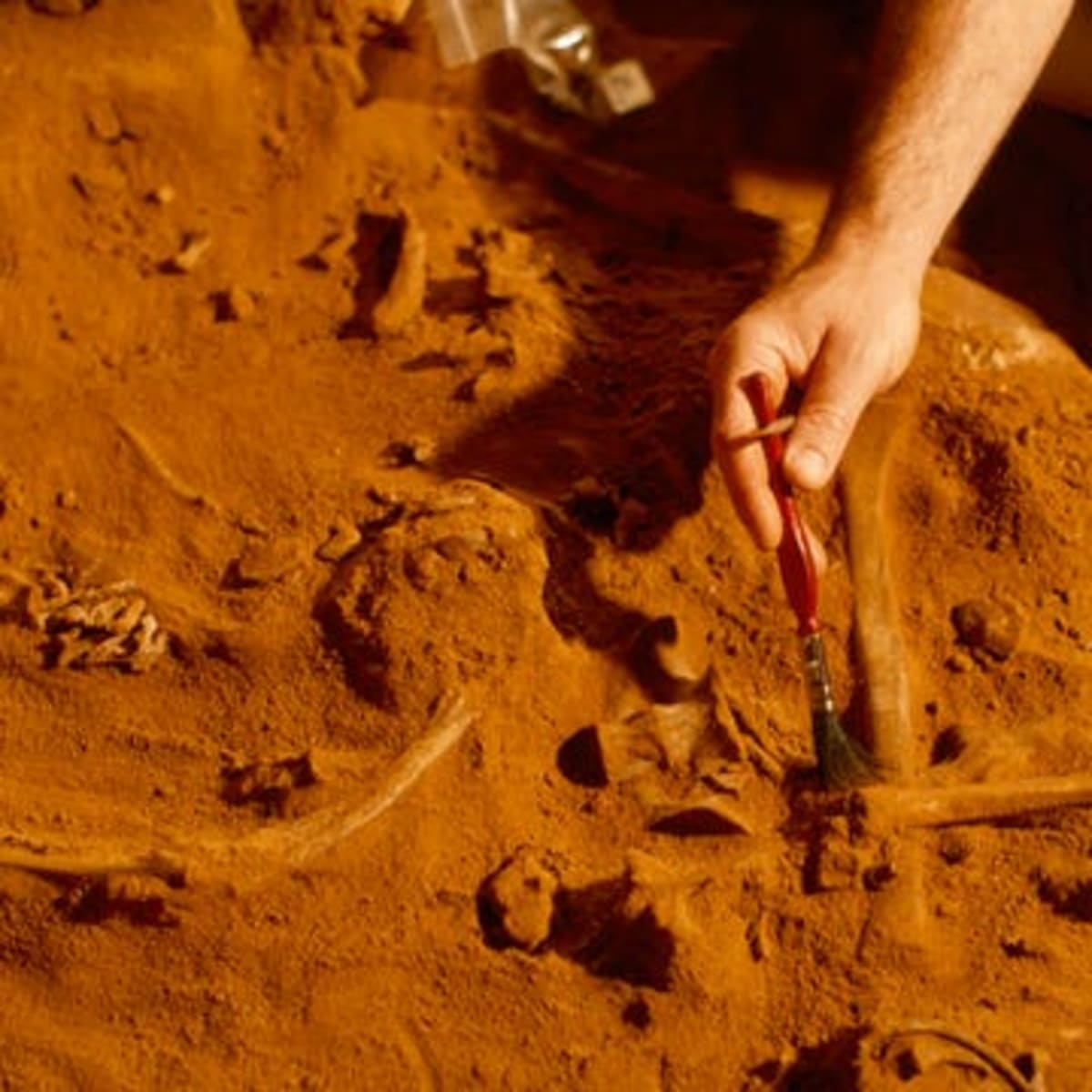 Sealed 2,600-Year-Old Tomb Found Intact in Italy - Image 5