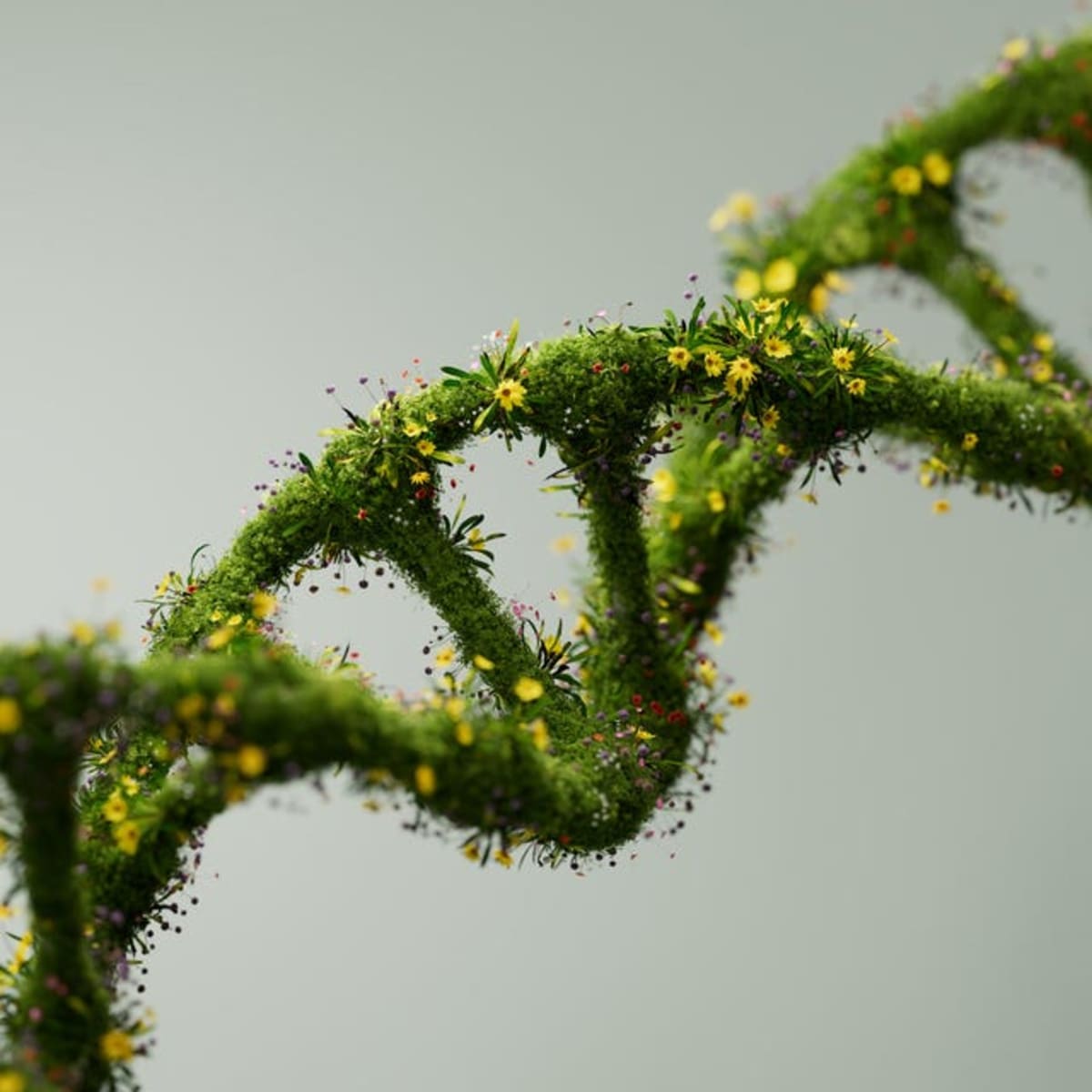 GLP-1 Drugs May Slow Aging at the Cellular Level - Image 3