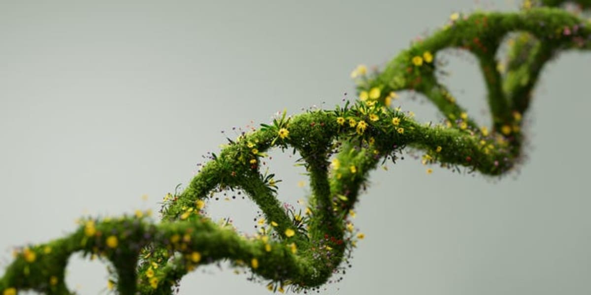 GLP-1 Drugs May Slow Aging at the Cellular Level - Image 2