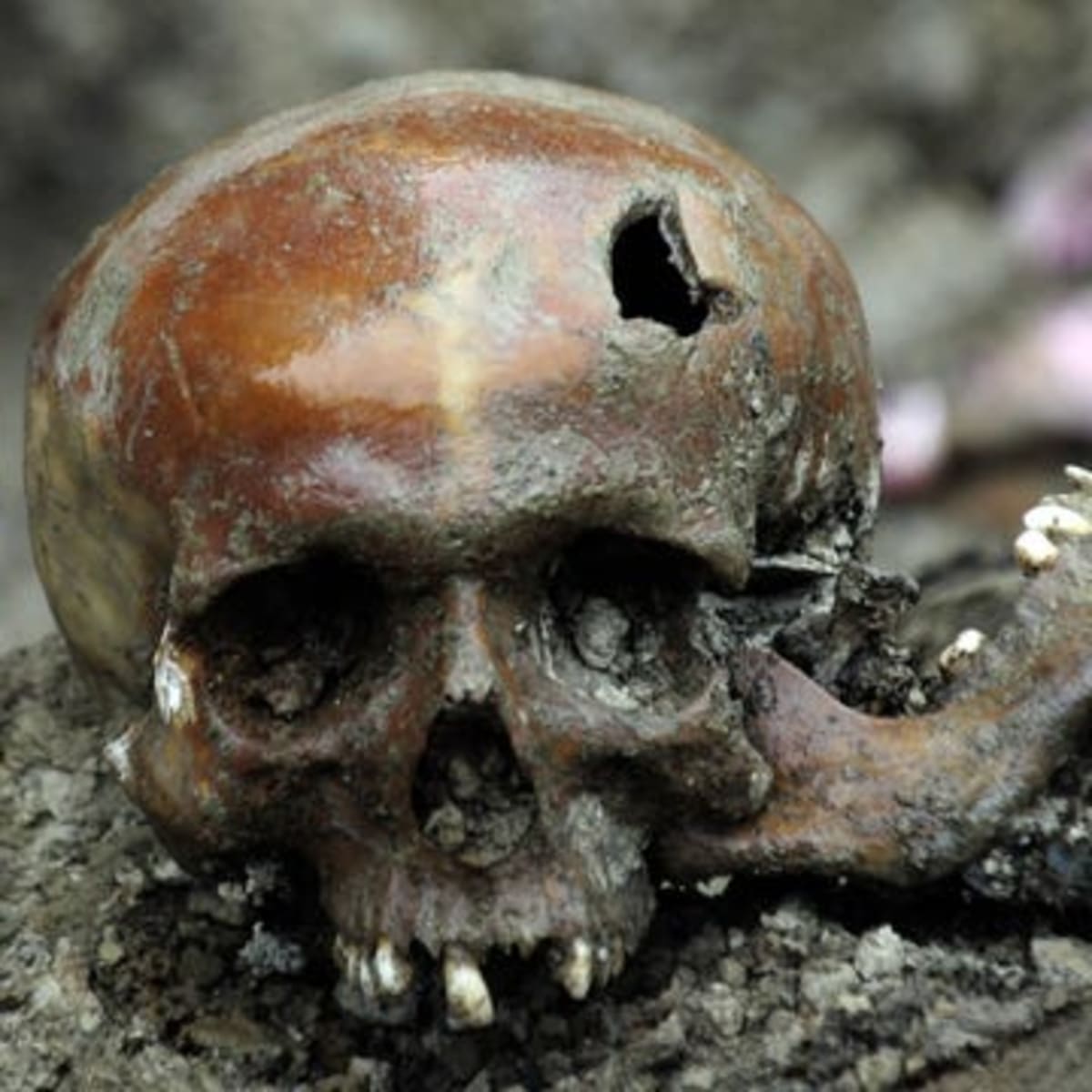 French Homebuilders Find 2,000-Year-Old City on Their Site - Image 5